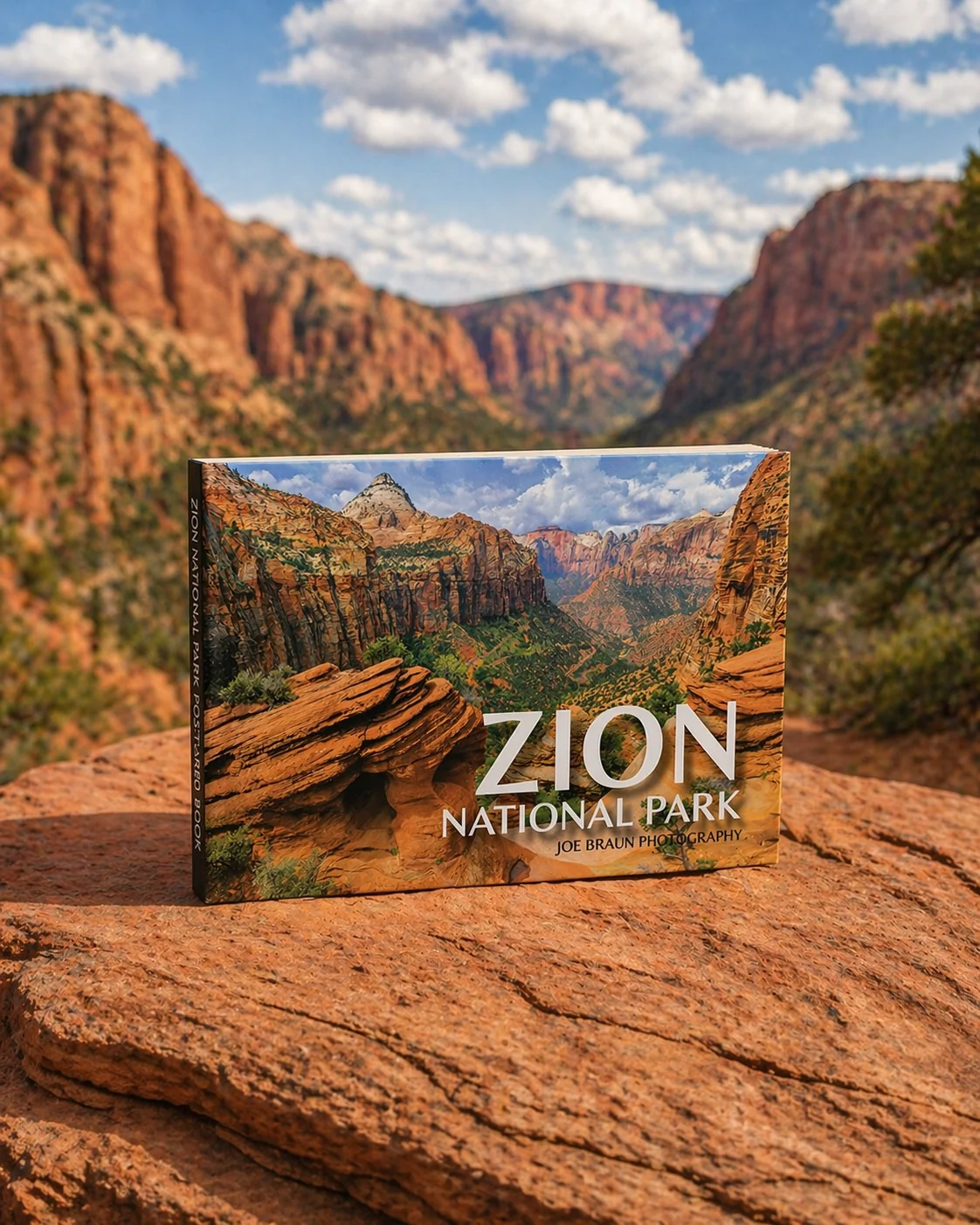 洋書  Is Where You Park It Zion National Park Postcard Book | National Parks USA